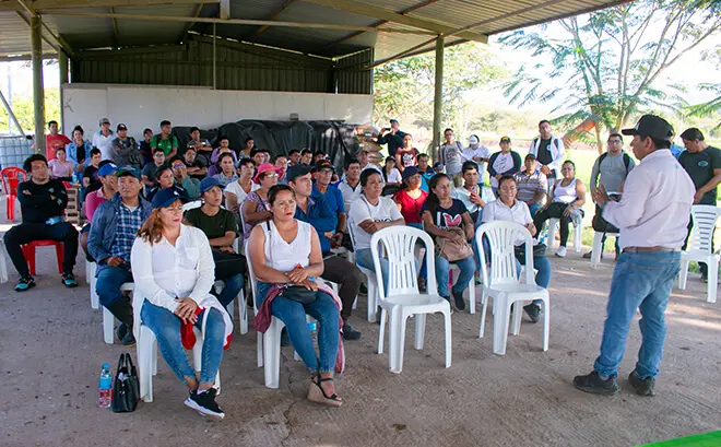 Día De Campo En Yacucatina, Semilla Adv 9559 Día De Campo En Yacucatina, Semilla Adv 9559