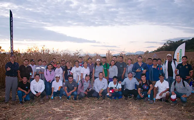 Día De Campo En Yacucatina, Semilla Adv 9559 Día De Campo En Yacucatina, Semilla Adv 9559