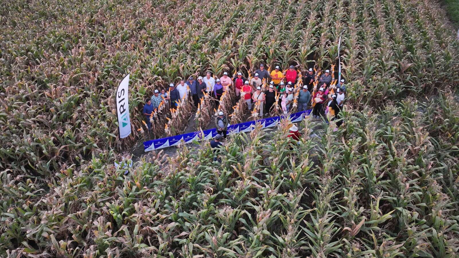 Días De Campo Adv 9559 En El Norte Chico Días De Campo Adv 9559 En El Norte Chico