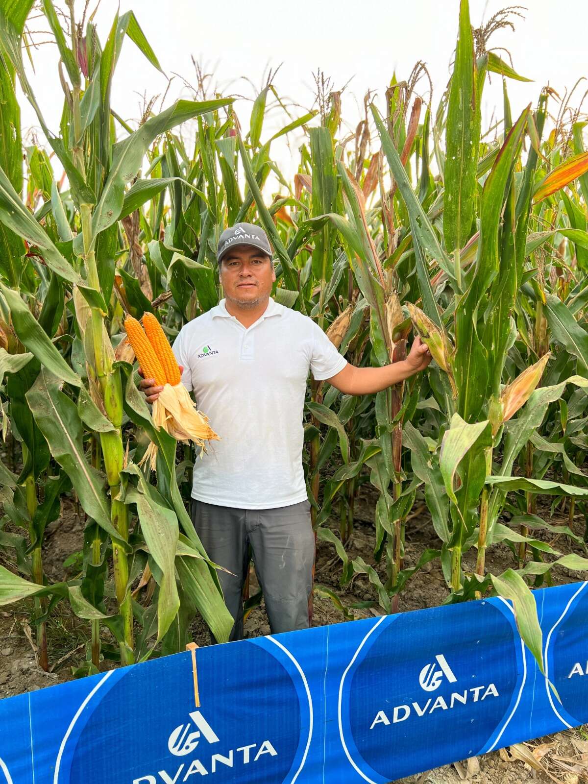 Días De Campo Adv 9559 En El Norte Chico Días De Campo Adv 9559 En El Norte Chico