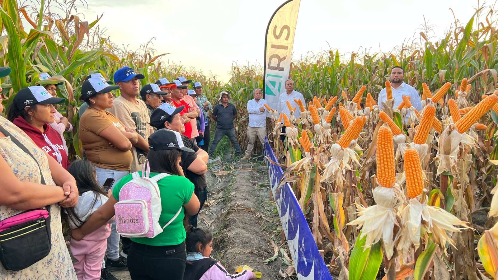 Días De Campo Adv 9559 En El Norte Chico Días De Campo Adv 9559 En El Norte Chico