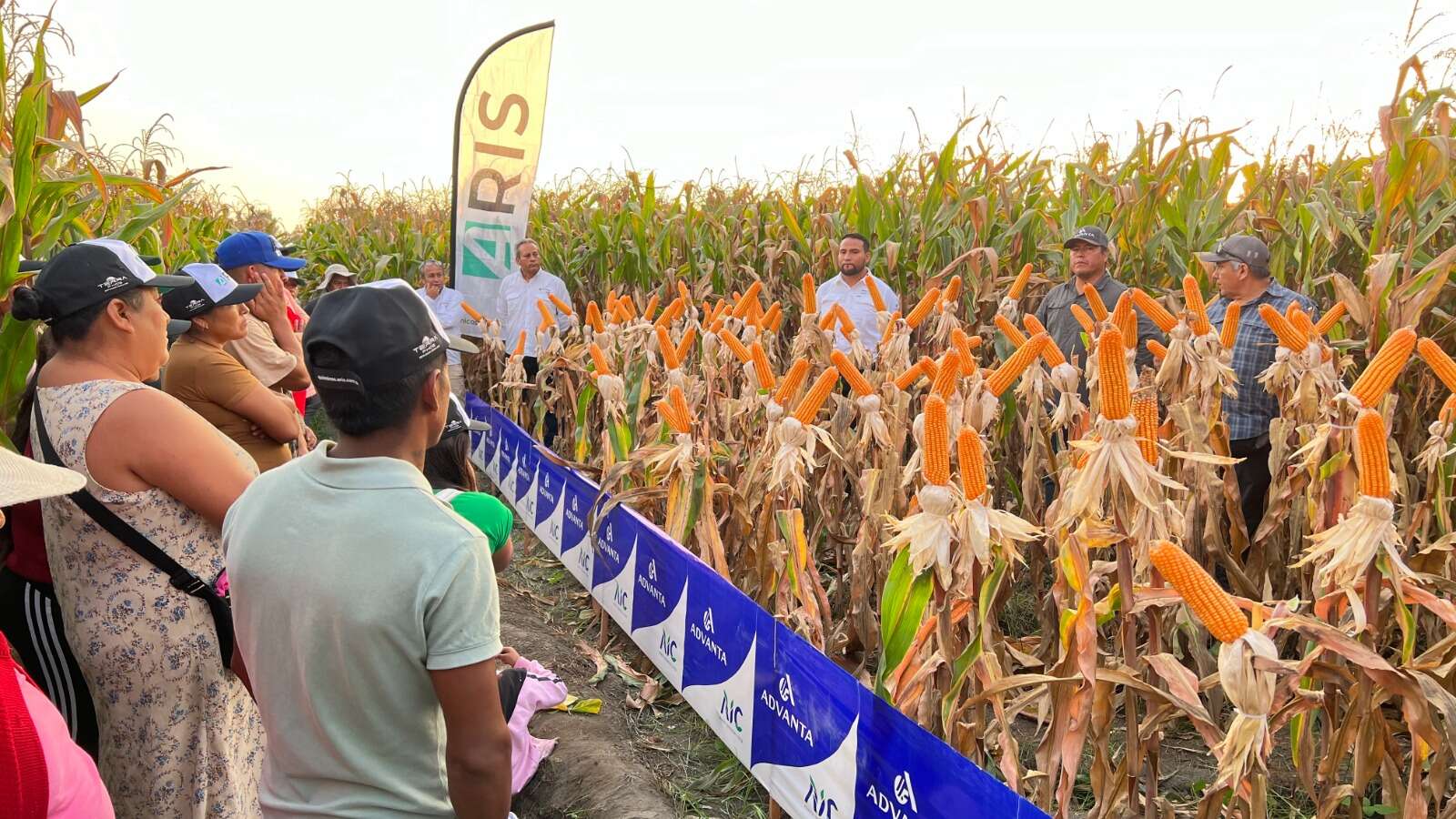 Días De Campo Adv 9559 En El Norte Chico Días De Campo Adv 9559 En El Norte Chico